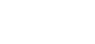 TT Audit